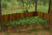 /album/galeria-de-fotos%3a-port%c3%b5es-e-coberturas/ze-marques-aeroporto-007-jpg/